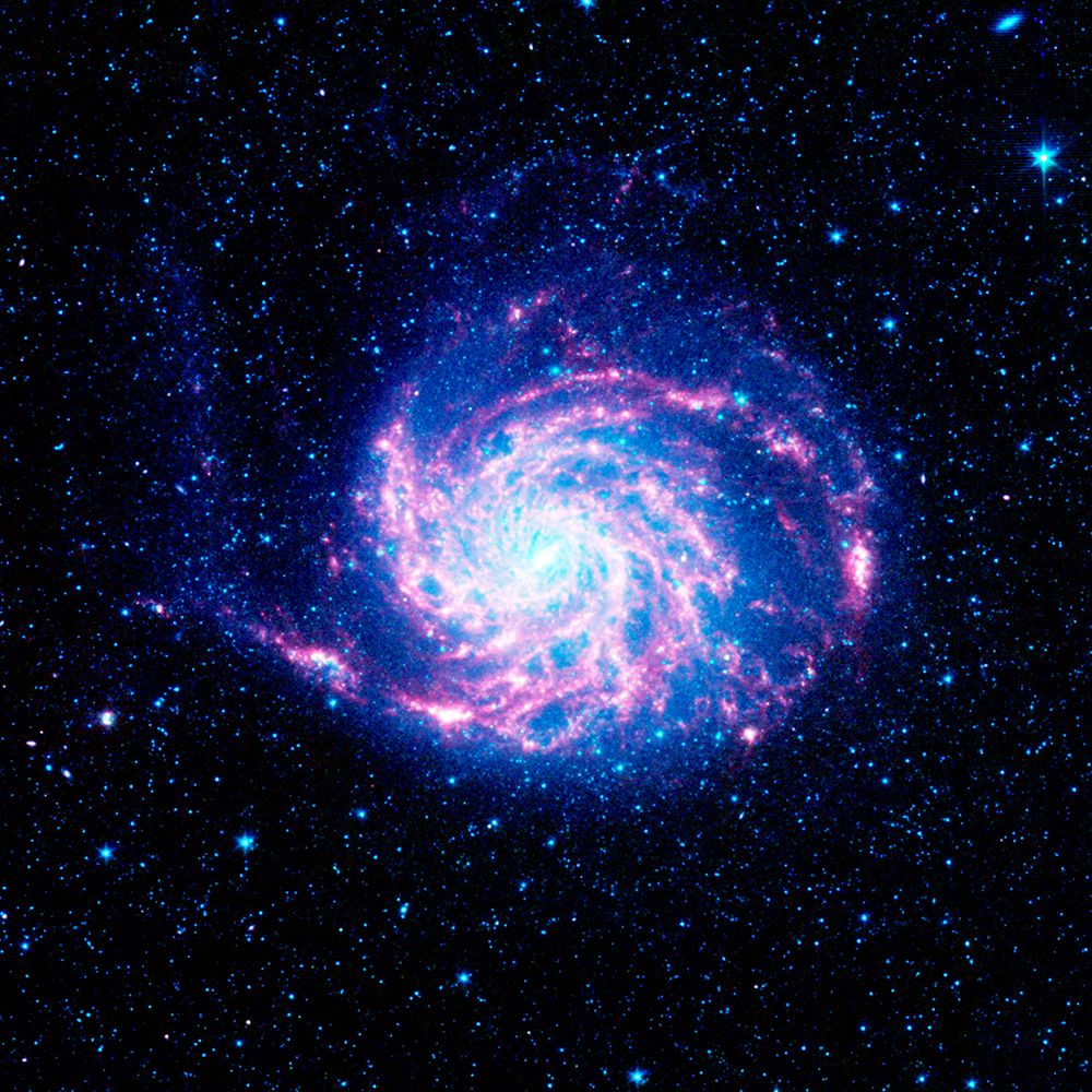 The Pinwheel Galaxy