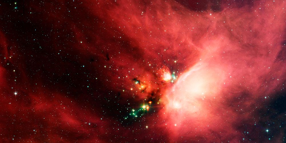 The Rho Ophiuchi Dark Cloud