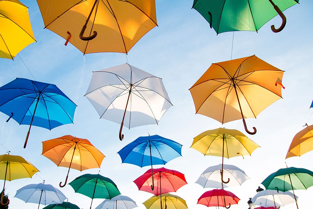 A Sky Full of Umbrellas