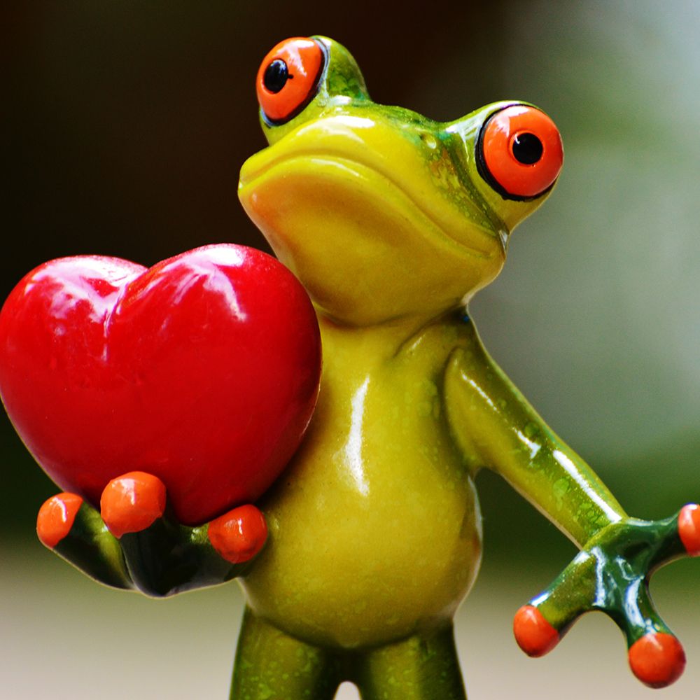 Just a Frog with a Big Heart