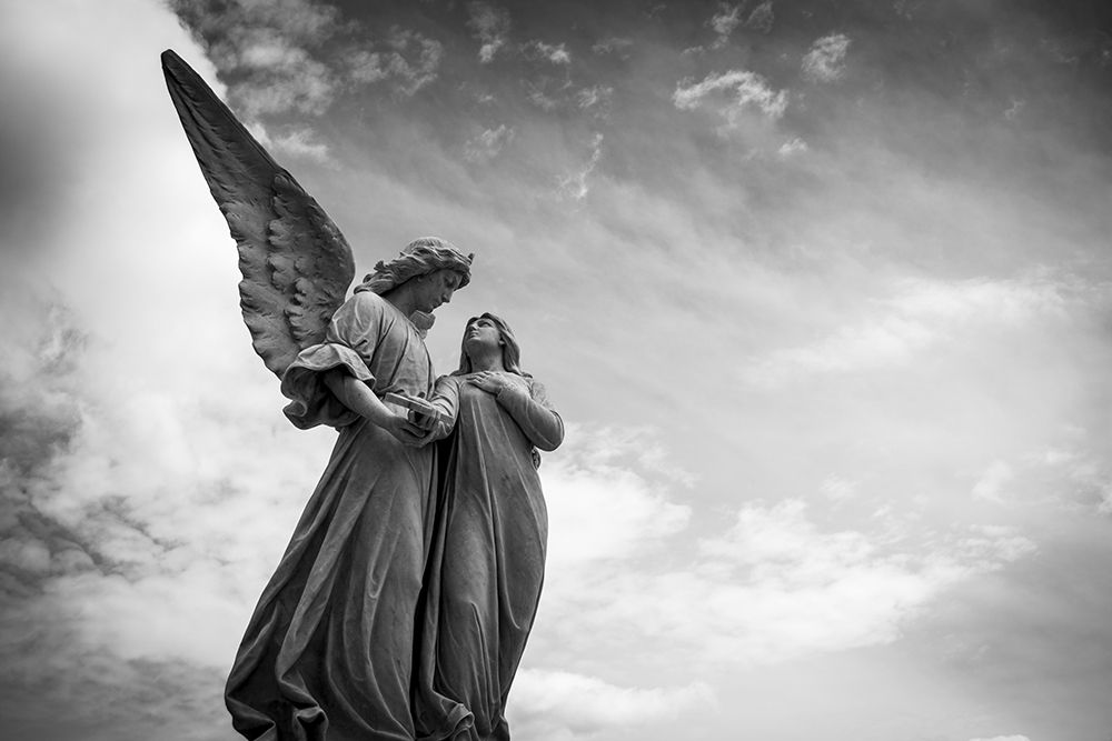 In the Arms of an Angel