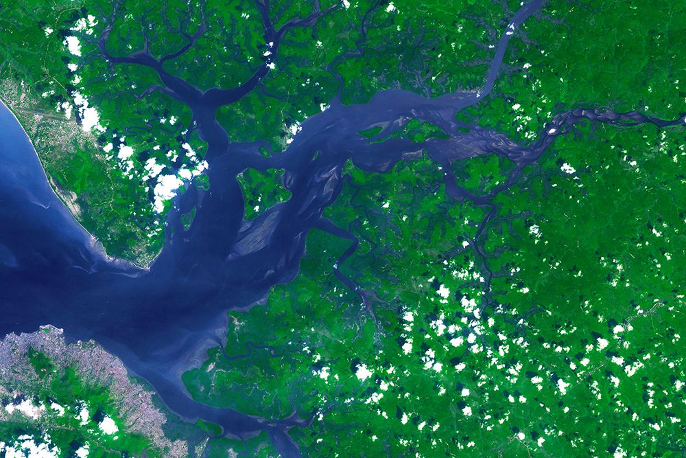 NASAs Terra Spacecraft View of the Sierra Leone Estuary