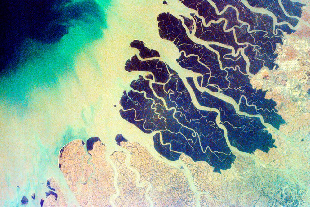 The Ganges Delta lie in both Bangladesh and West Bengal - India