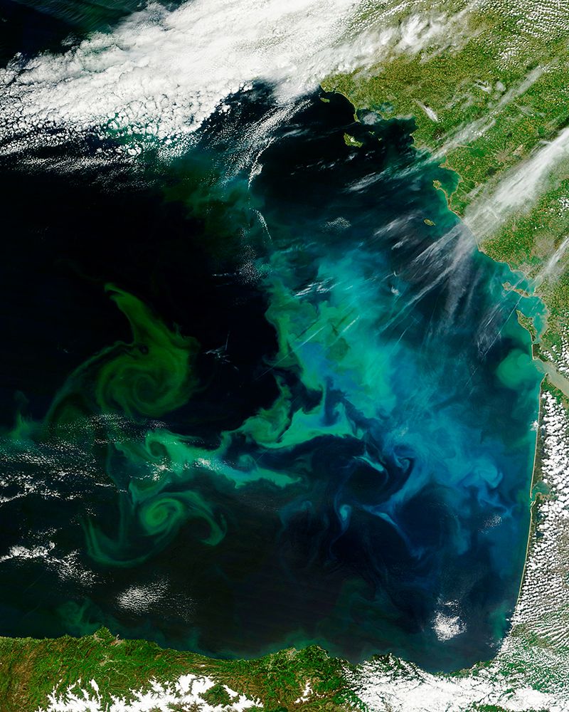 Phytoplankton Bloom in the Bay of Biscay Viewed from Space