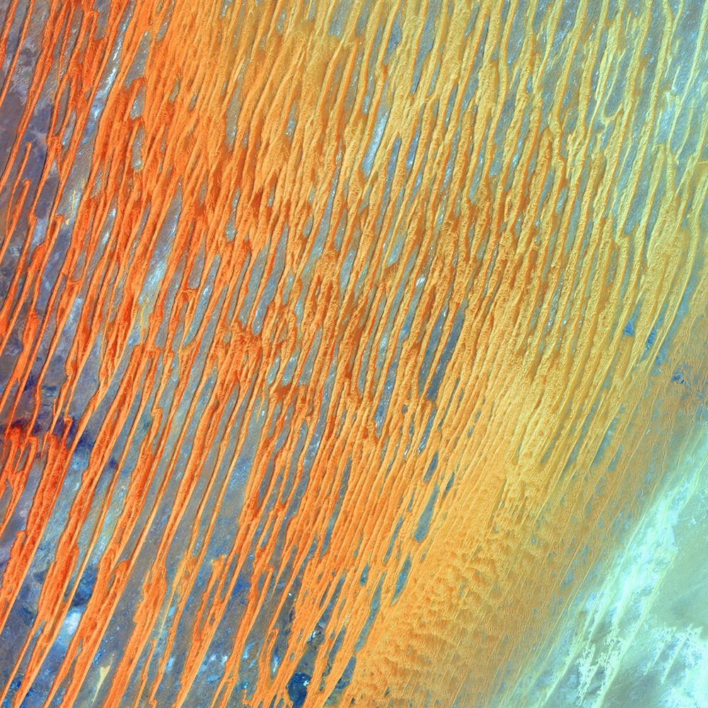 Ribbons of Saharan Sand Dunes from Space