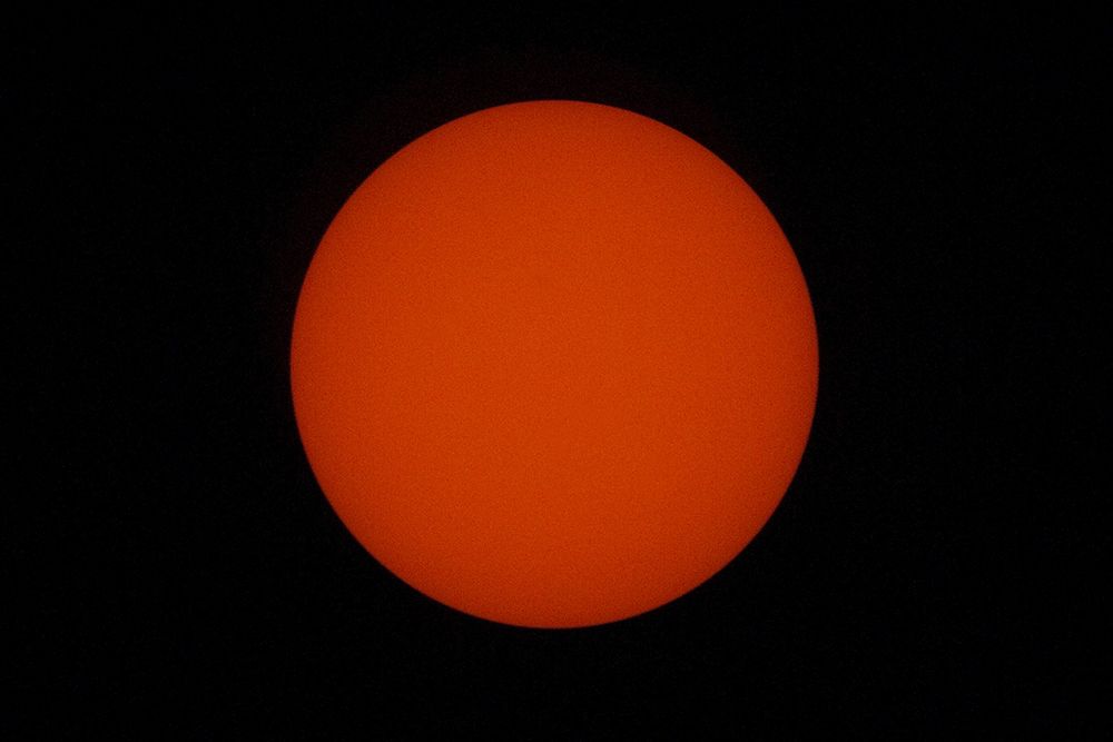 Solar Observations during the Transit of Venus