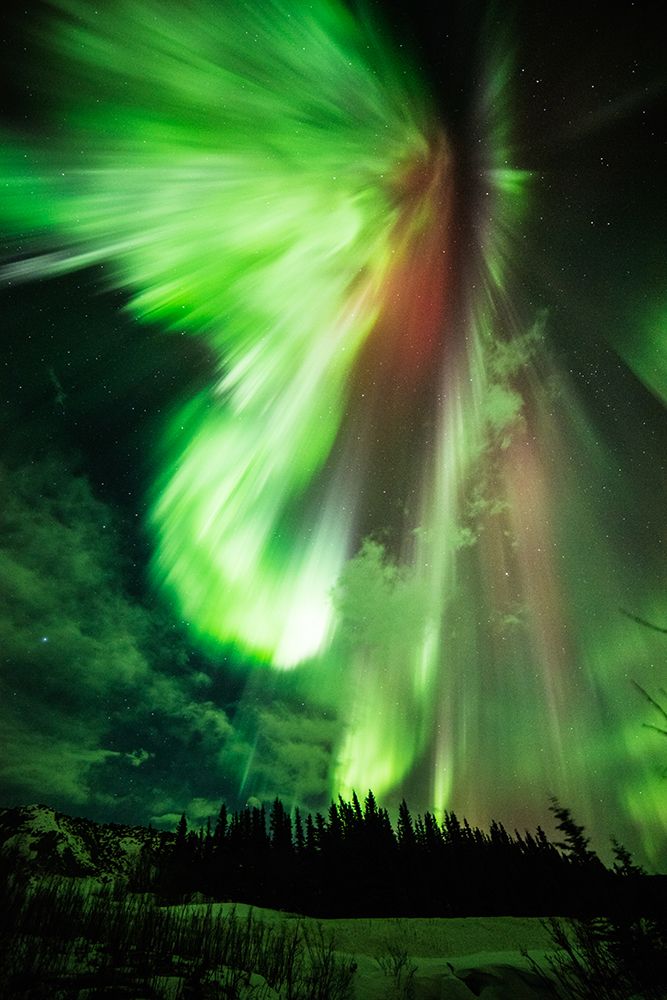 St. Patricks aurora - a green aurora taken at Donnelly Creek - Alaska