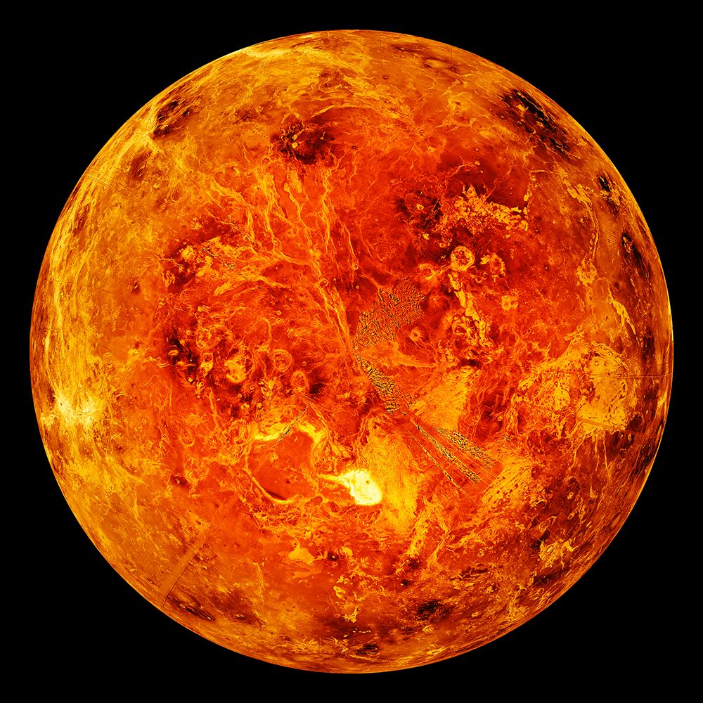 The Northern Hemisphere of the Surface of Venus