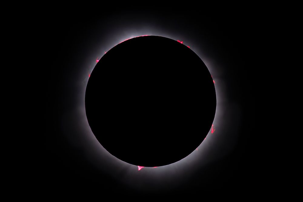 Prominences Total Solar Eclipse April 8, 2024