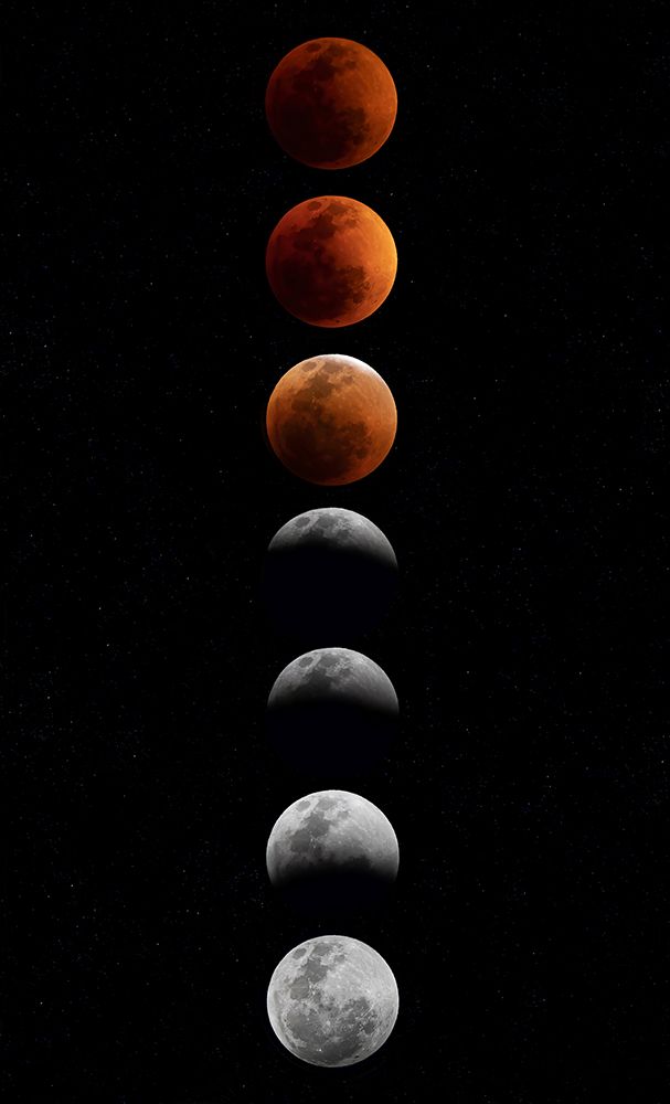 Super Flower Blood Moon
