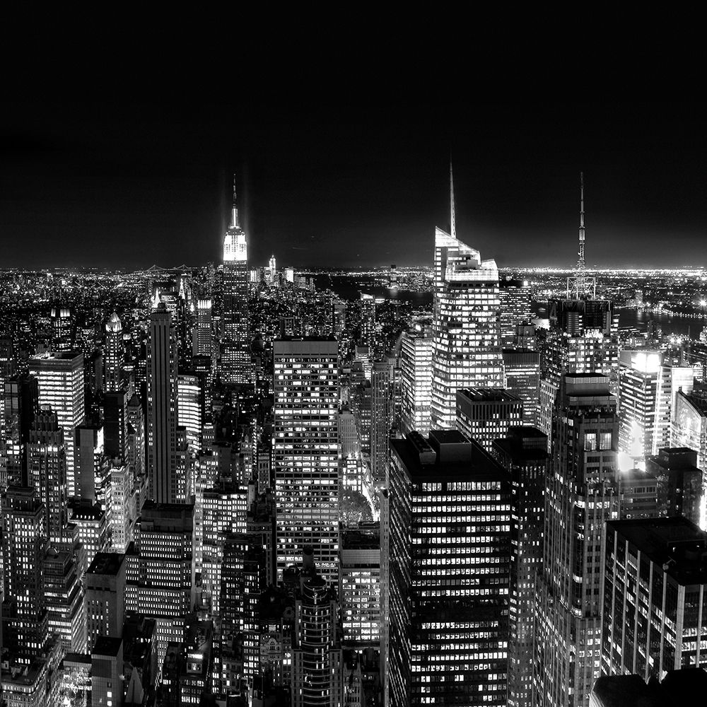 New York Cityscape I