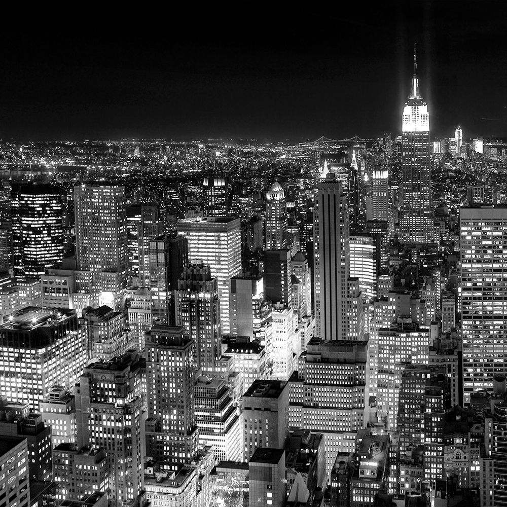 New York Cityscape II