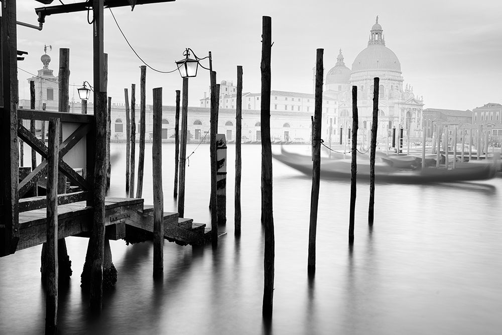 Venice V
