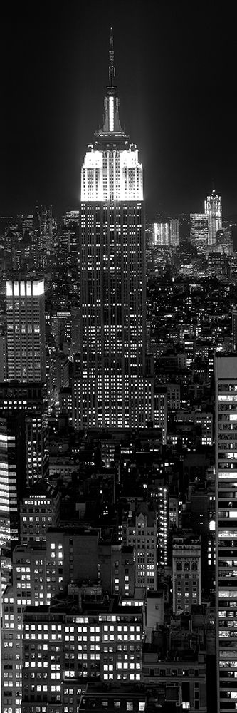 New York Vertical Panoramic I