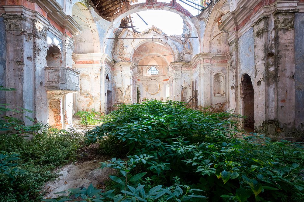 Nature Taking over Church