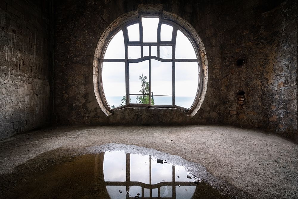 Mushroom Window