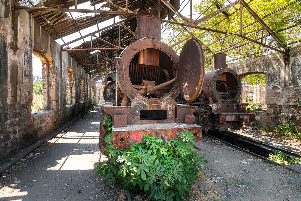Abandoned Train