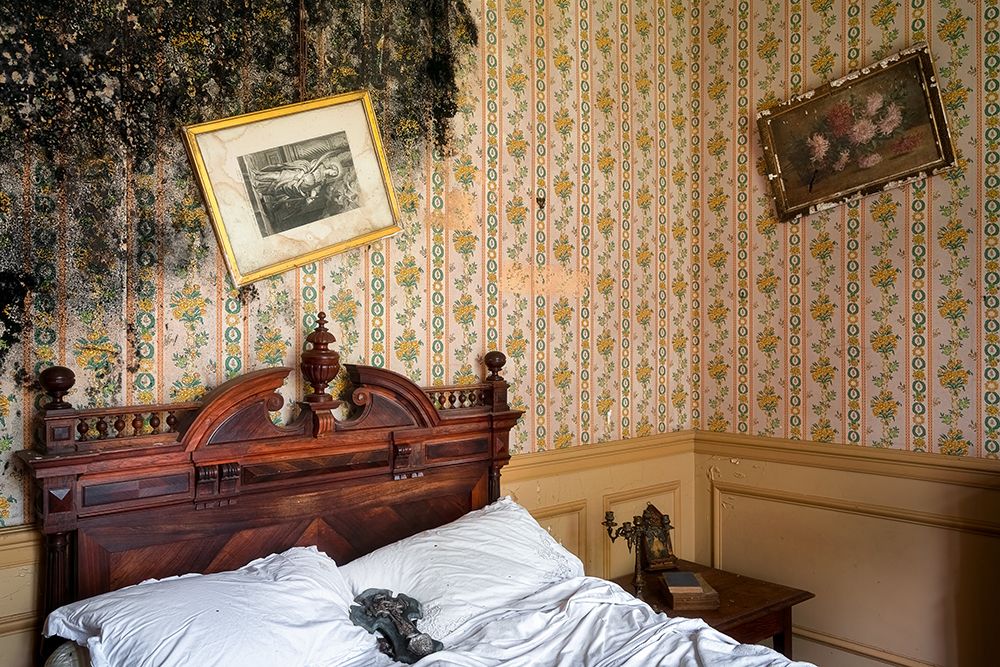 Mold Bedroom
