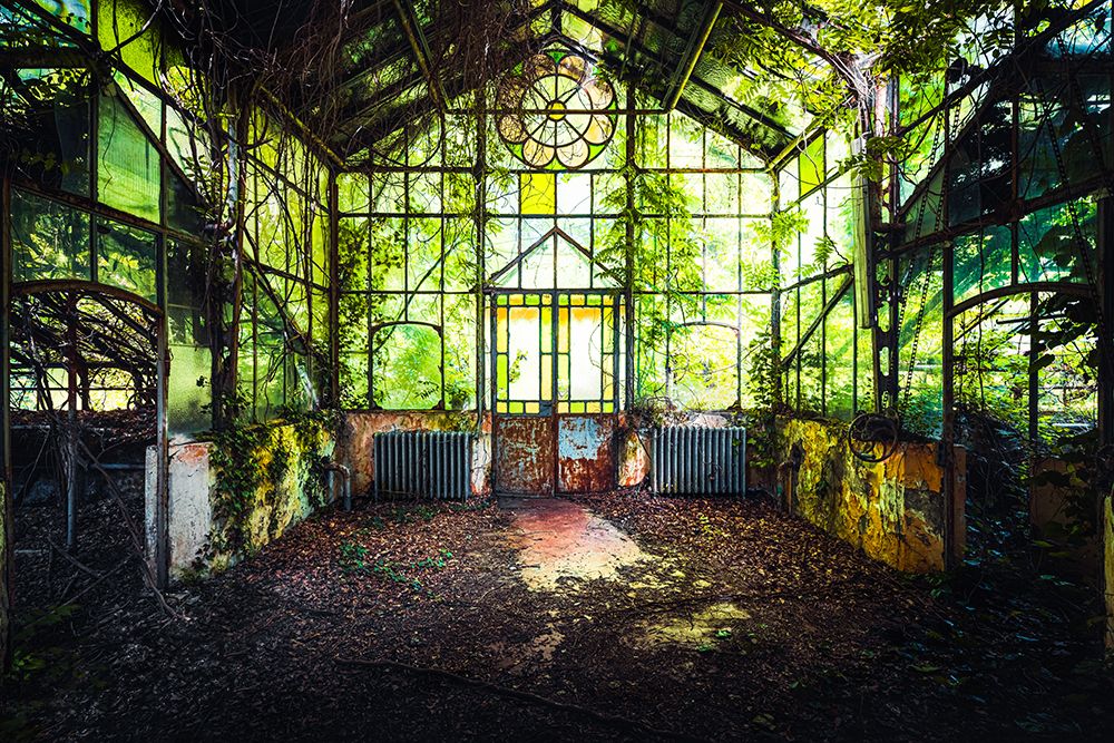 Overgrown Greenhouse