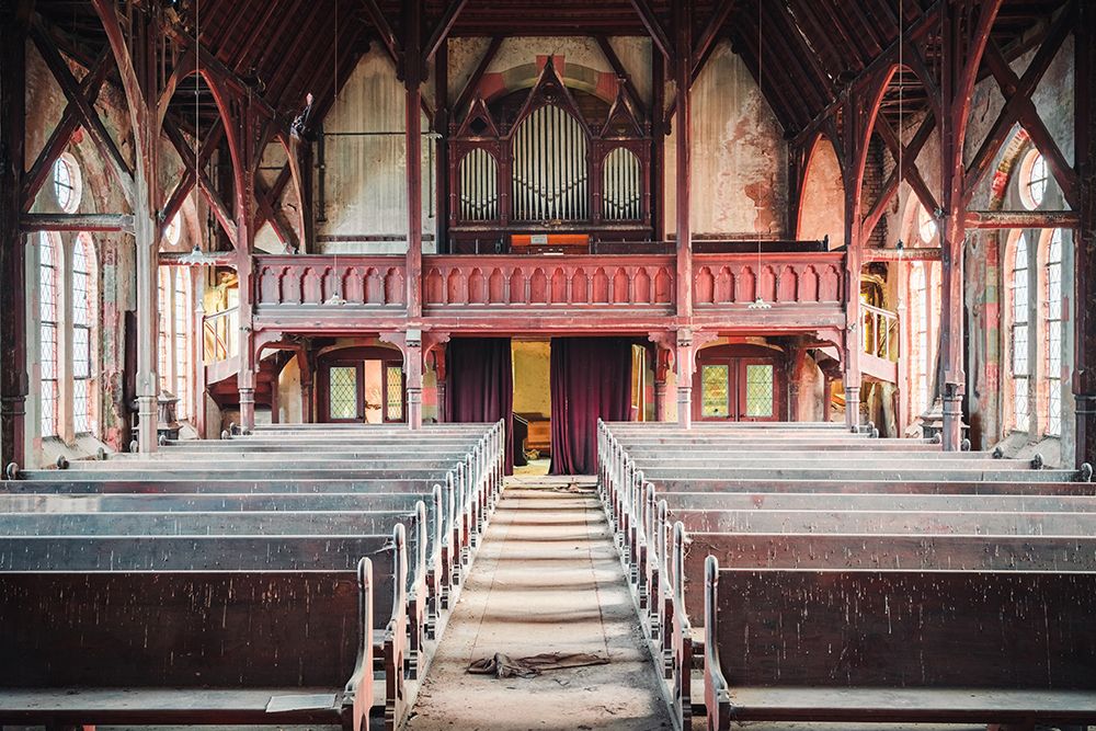 Organ
