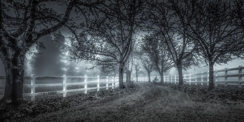 The Road Less Traveled