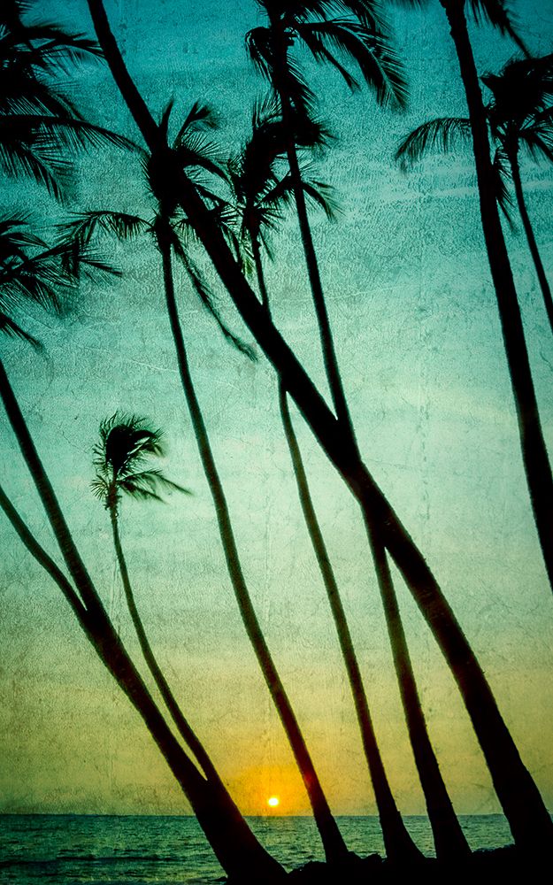 Tilting Palms
