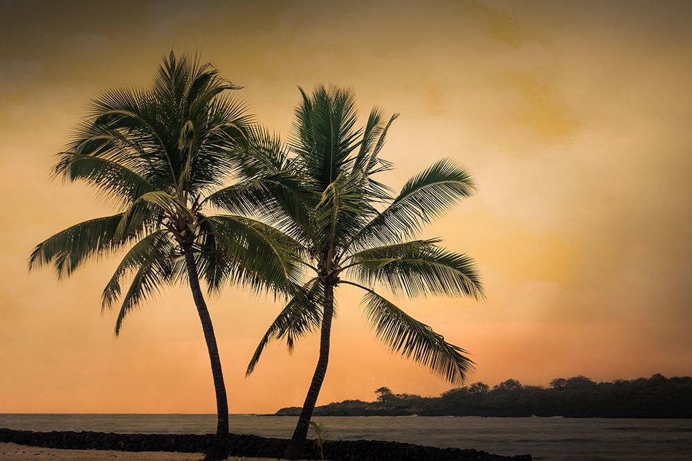 Two Palms at Sunset