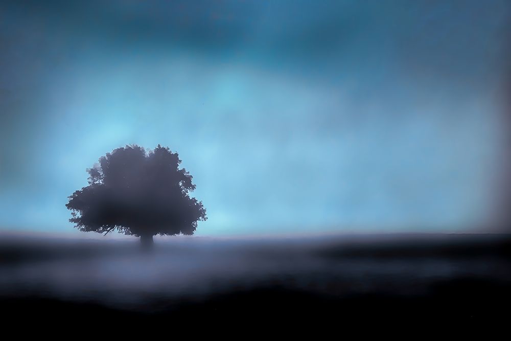 Simple Scenes I Neutral