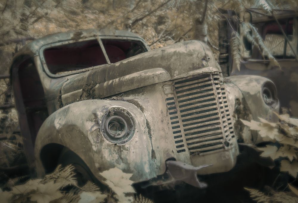 Seen Better Days