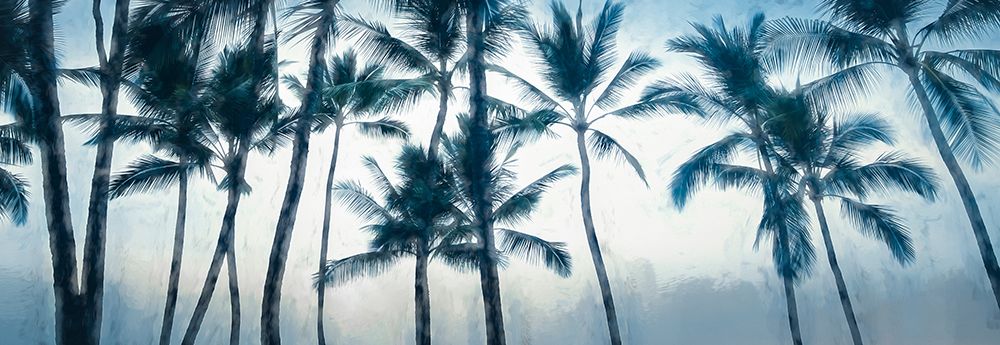 Big Island Palms