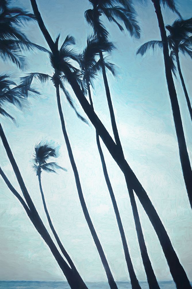 Leaning Palms
