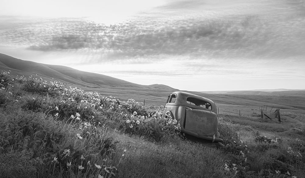 Abandoned in the Field