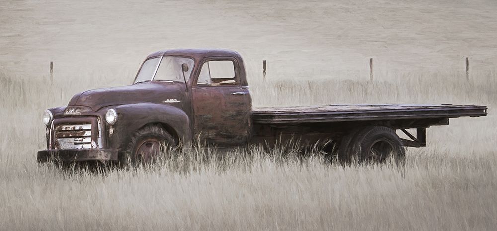 Rusted Truck in the Meadow