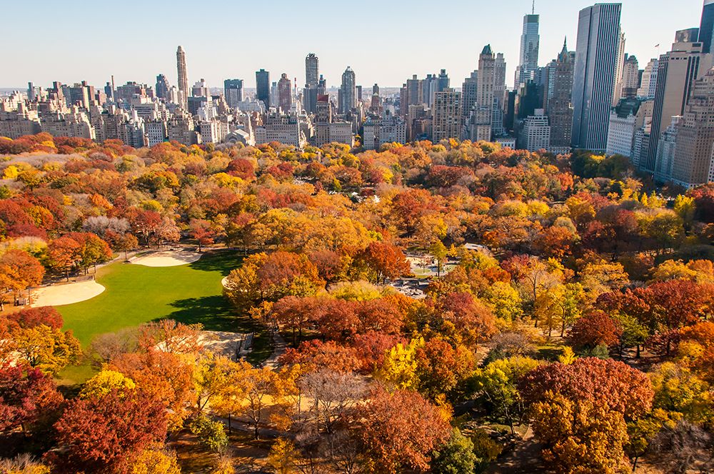 Central Park in the Fall