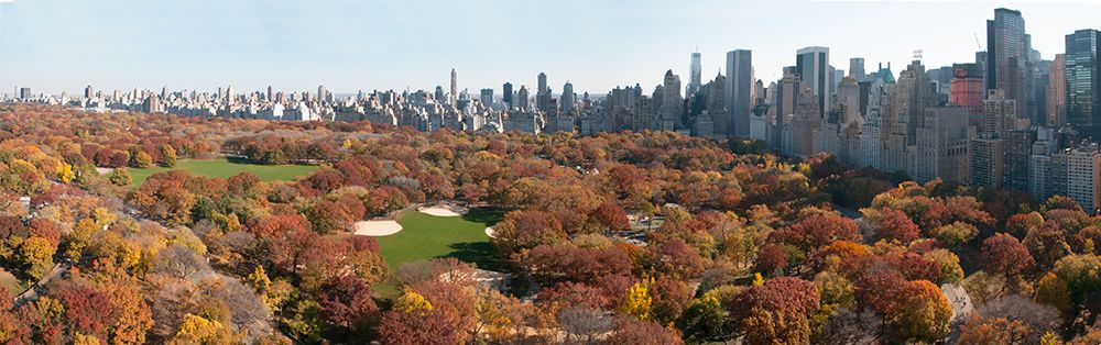 Central Park Panorama
