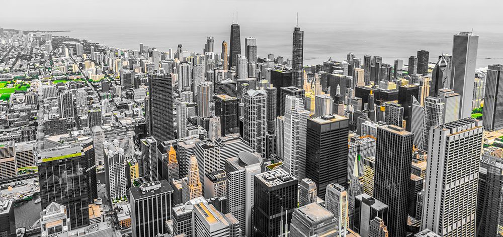 Chicago Skyline I
