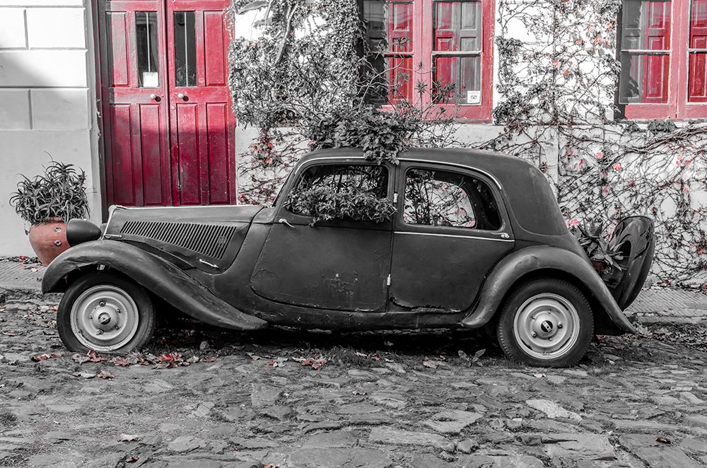Colonia Car