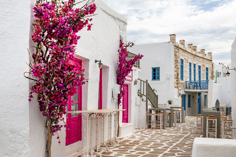 Mykonos Street with Flowers