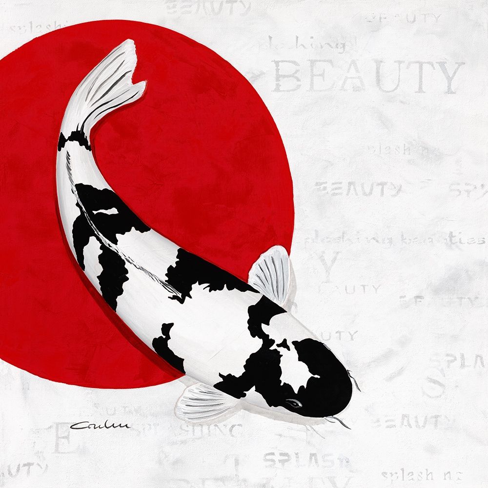 Splashing Beauty Shiro Utsuri