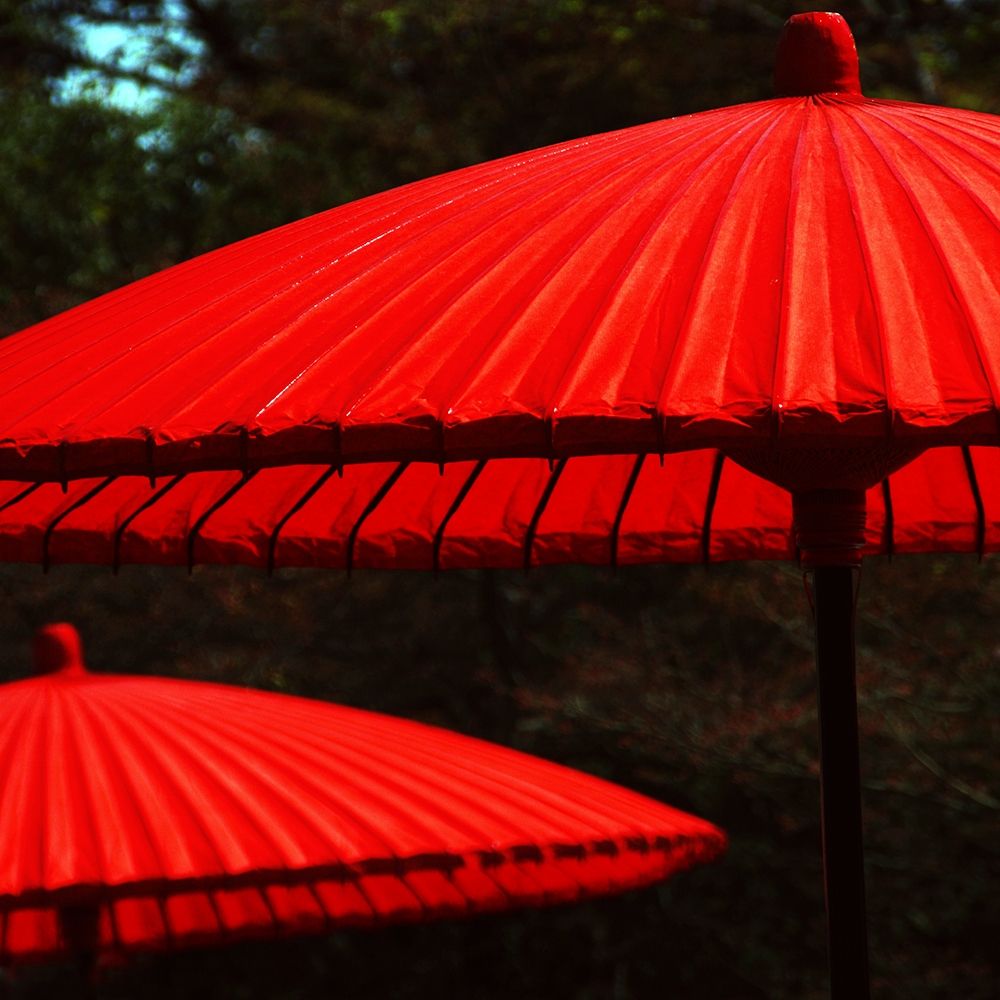 Red protection