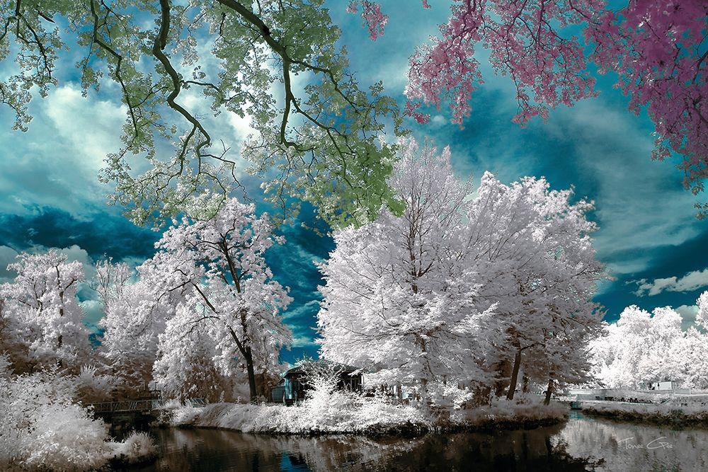 Cayac,Gradignan - Infrared Photography