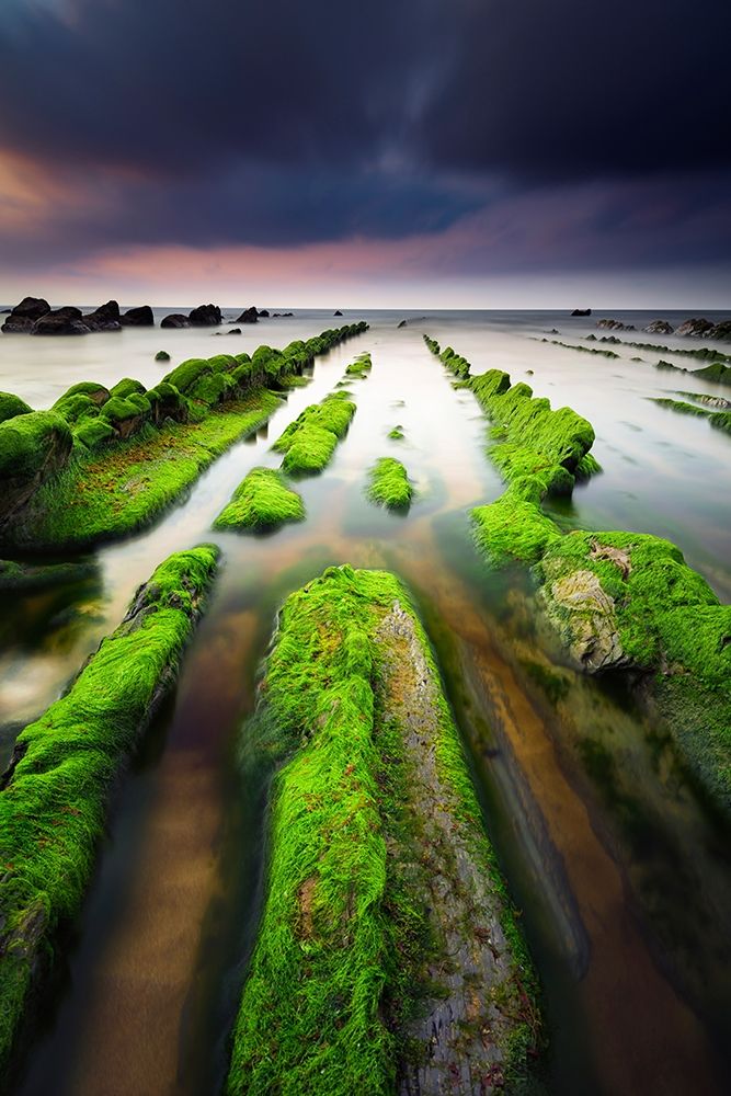Barrika III