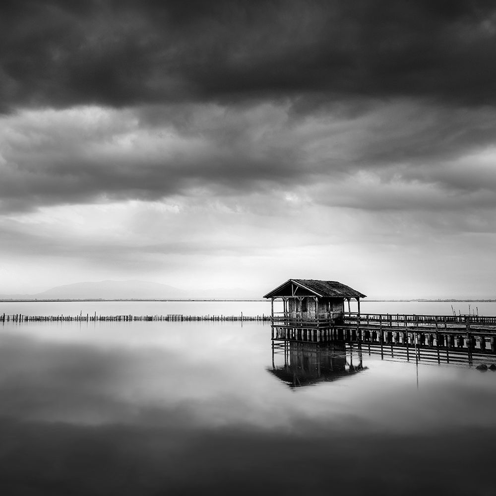 Black and White